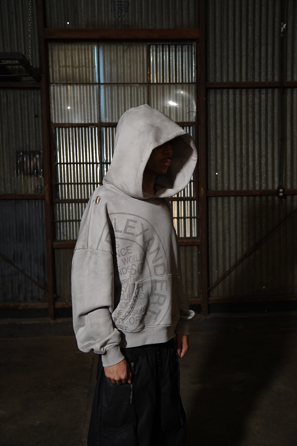 Circumference Hoodie